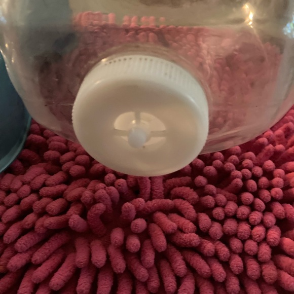 Petmate .75 Gallon Gravity Water Dispenser BPA Free Easy to Clean - Picture 3 of 4